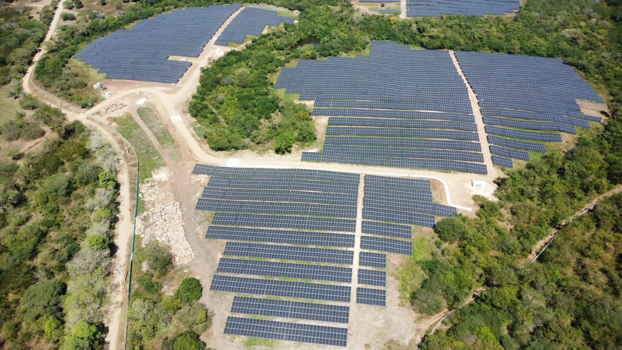 Parque Fotovoltaico Bosques Solares de Bolívar foto 1